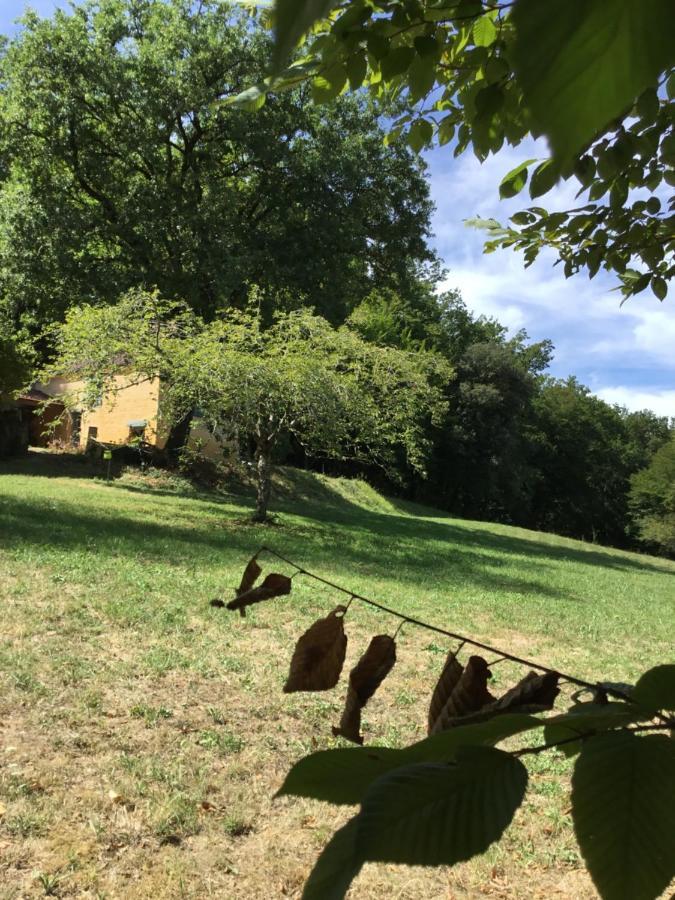 Vila Logis Des 4 Fees Et Son Bain Nordique Sainte-Nathalène Exteriér fotografie